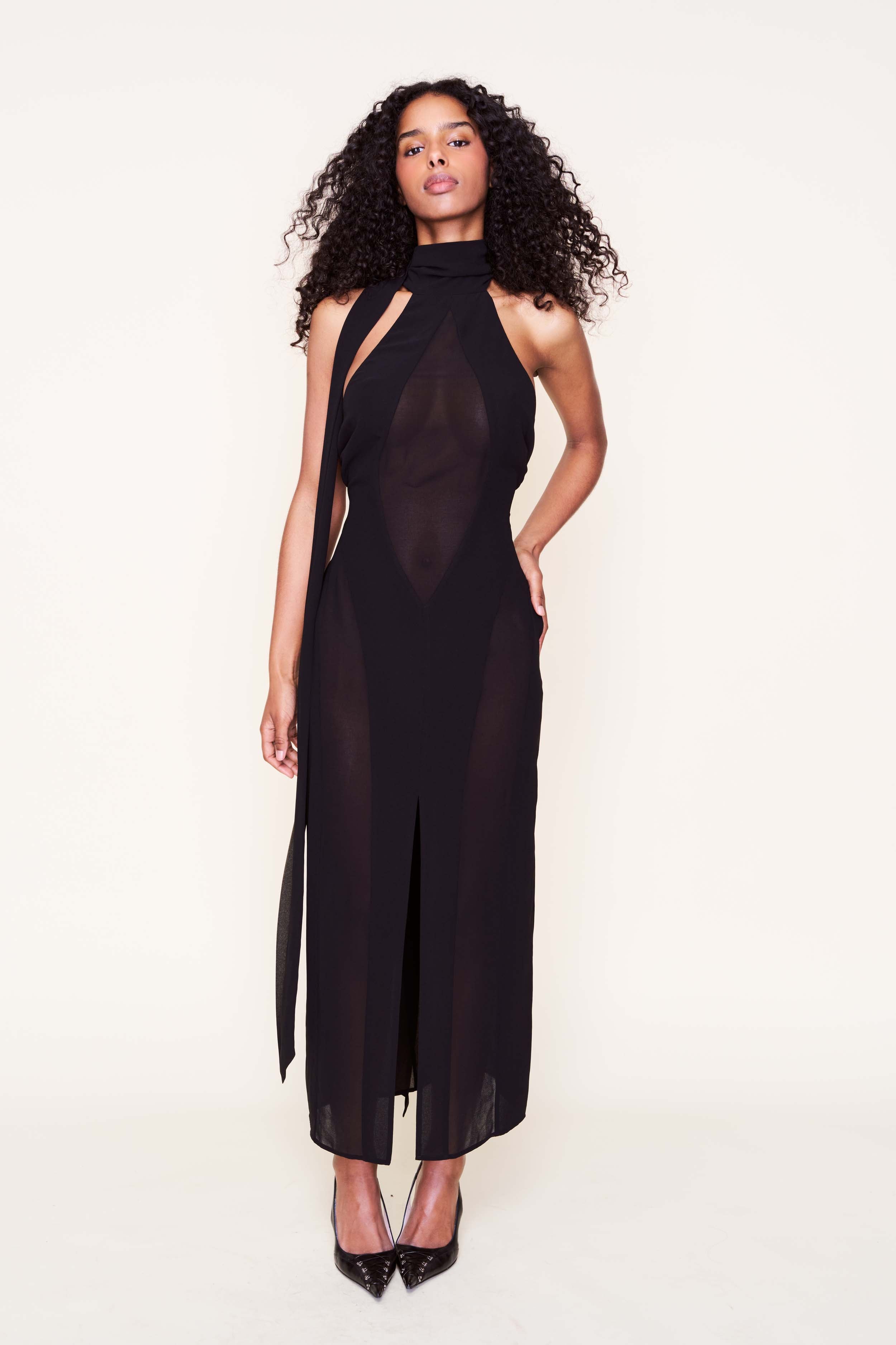 Lorena Sheer Panel Dress